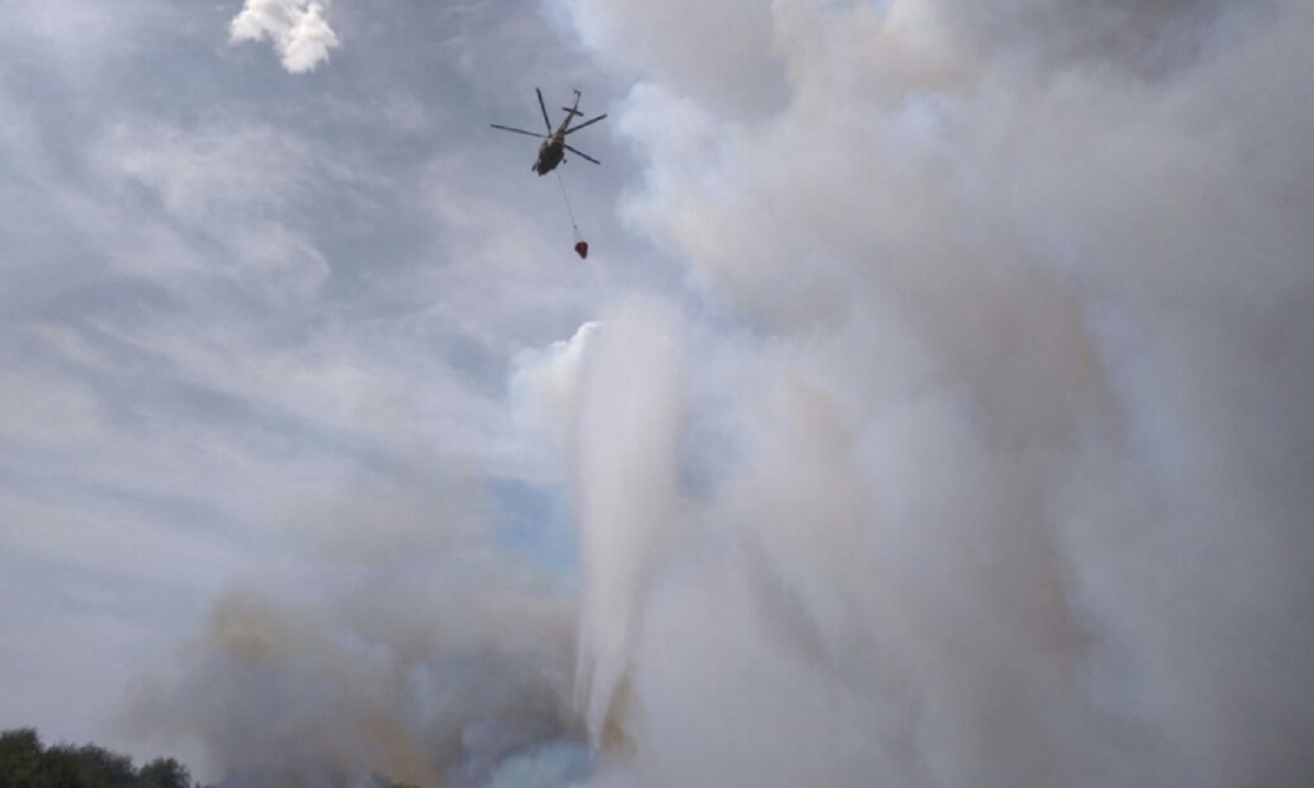 Гигантский пожар на Дону охватил пять тысяч га лесов
