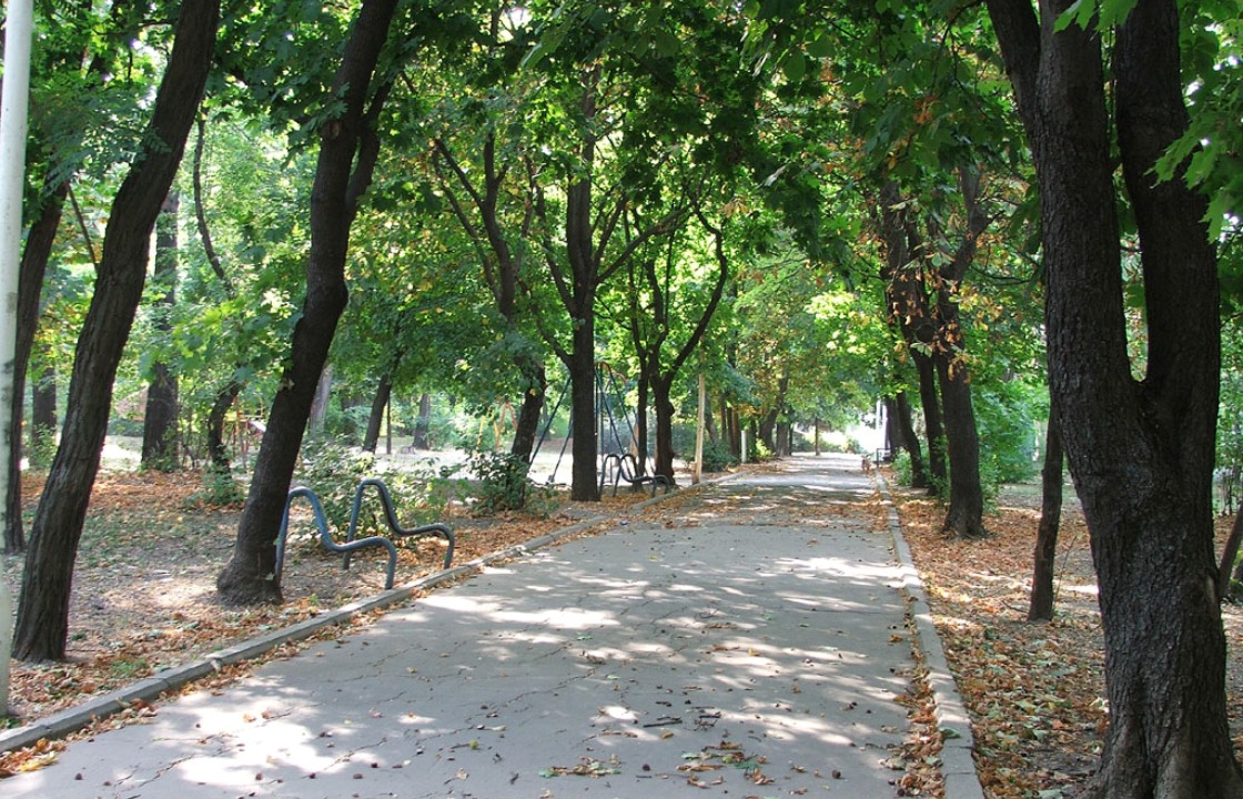 «Обстоятельства извне» помешали властям Ростова благоустроить парк Собино