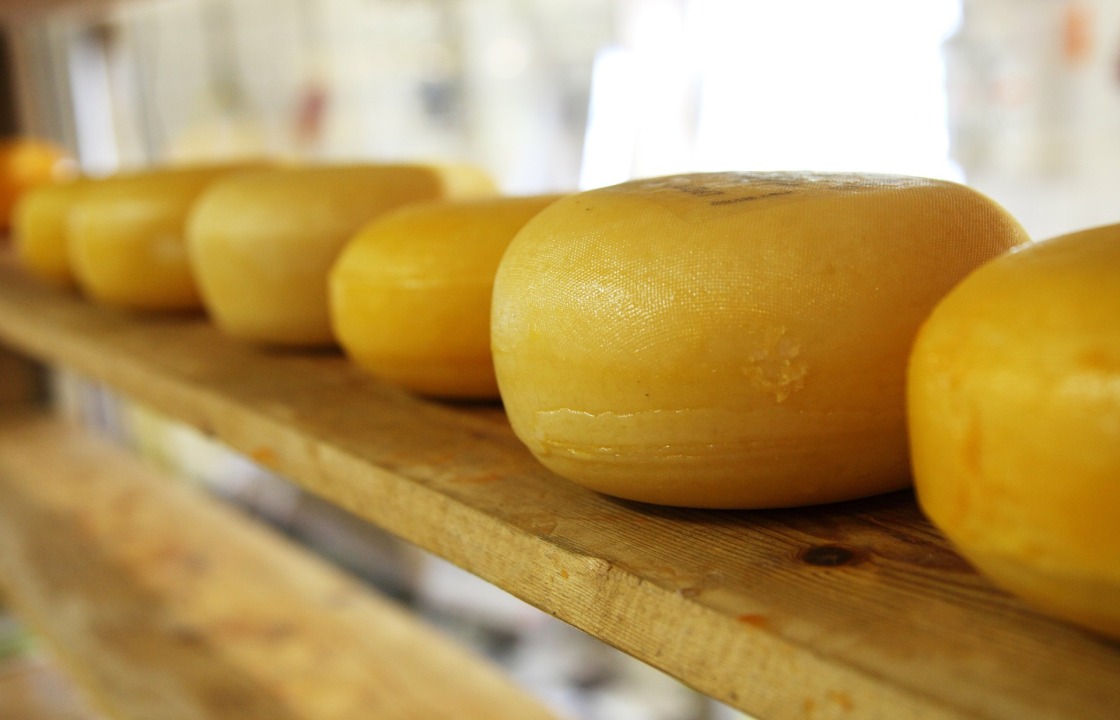 Санкционный сыр из Литвы уничтожили в Краснодаре