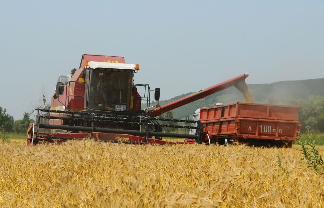 Донское зерно поставляют в 46 стран