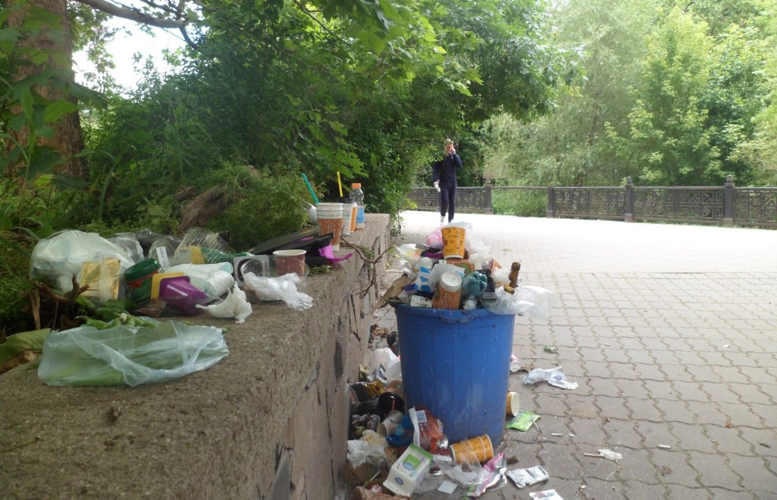 В Симферополе могут появиться «народные инспекторы по мусору»