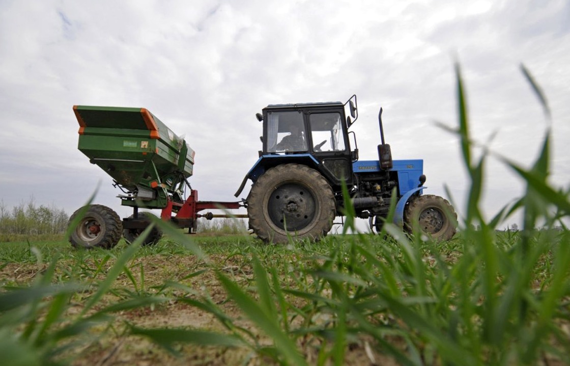 Сельхозкооперация Кубани получит на развитие 1 млрд