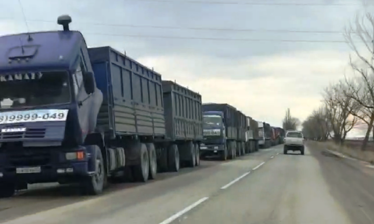 Сотни большегрузов с зерном стоят в Темрюке из-за прекращения работы терминала