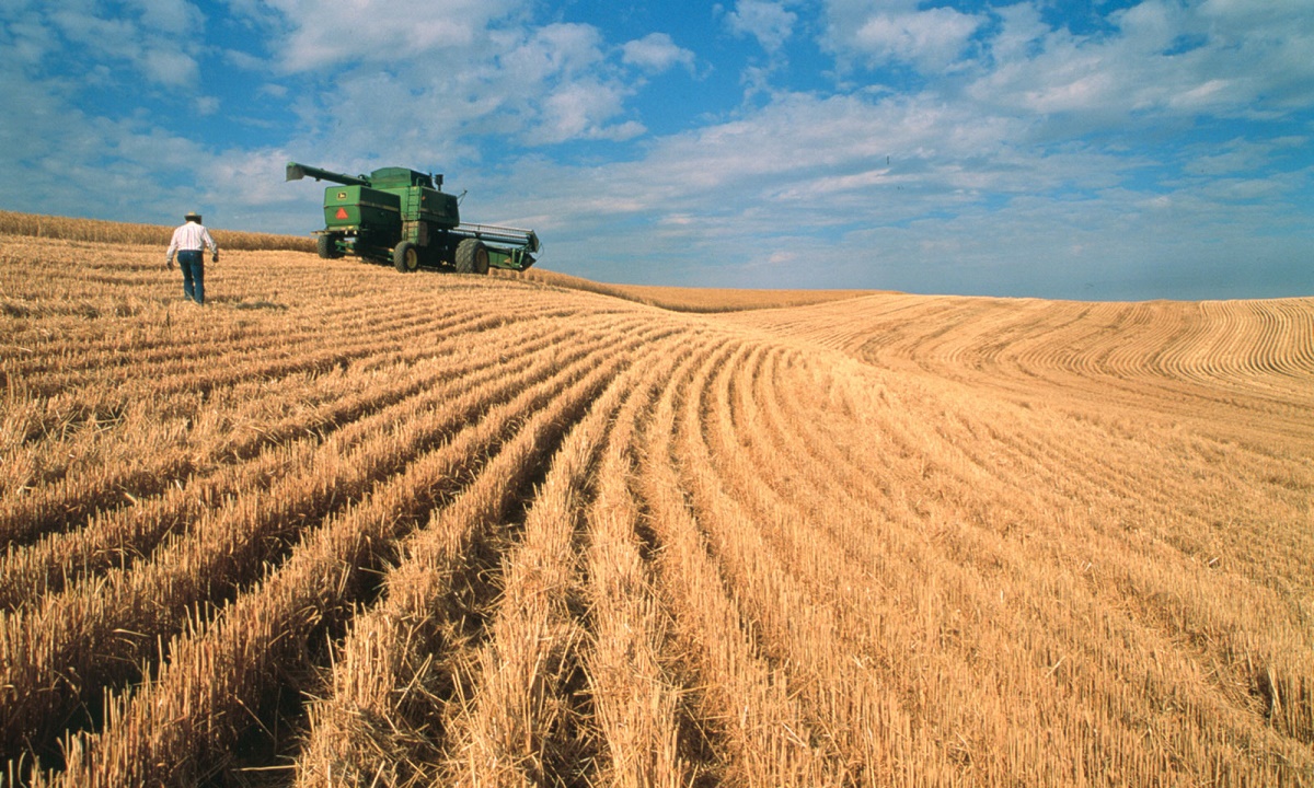 Показатели роста аграрного производства на Кубани оказались ниже среднероссийских