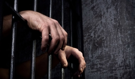 Астраханец из тюрьмы «провернул» аферу на 28 млн по госпрограмме