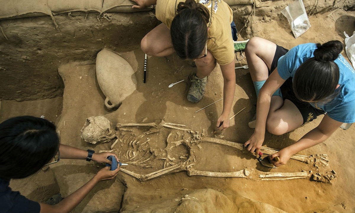 Две тысячи отобранных у «черных археологов» уникальных находок передадут в краснодарский музей