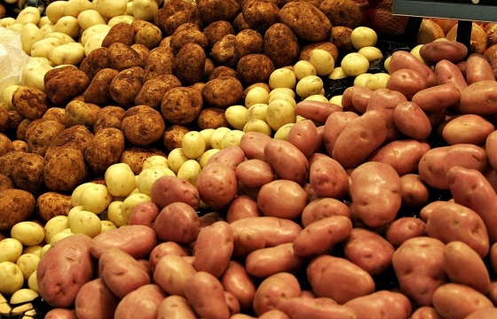 Житель Кубани провернул аферу с картофелем на 3 млн