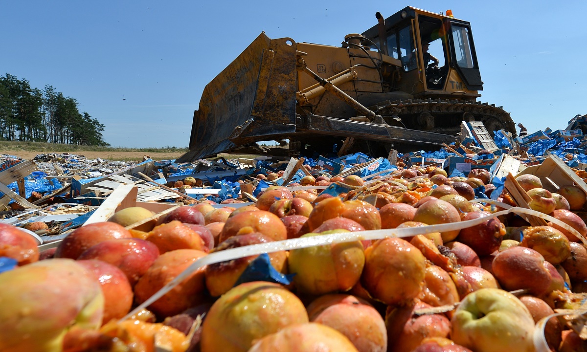 700 кг санкционных груш из Польши раздавили в Астраханской области
