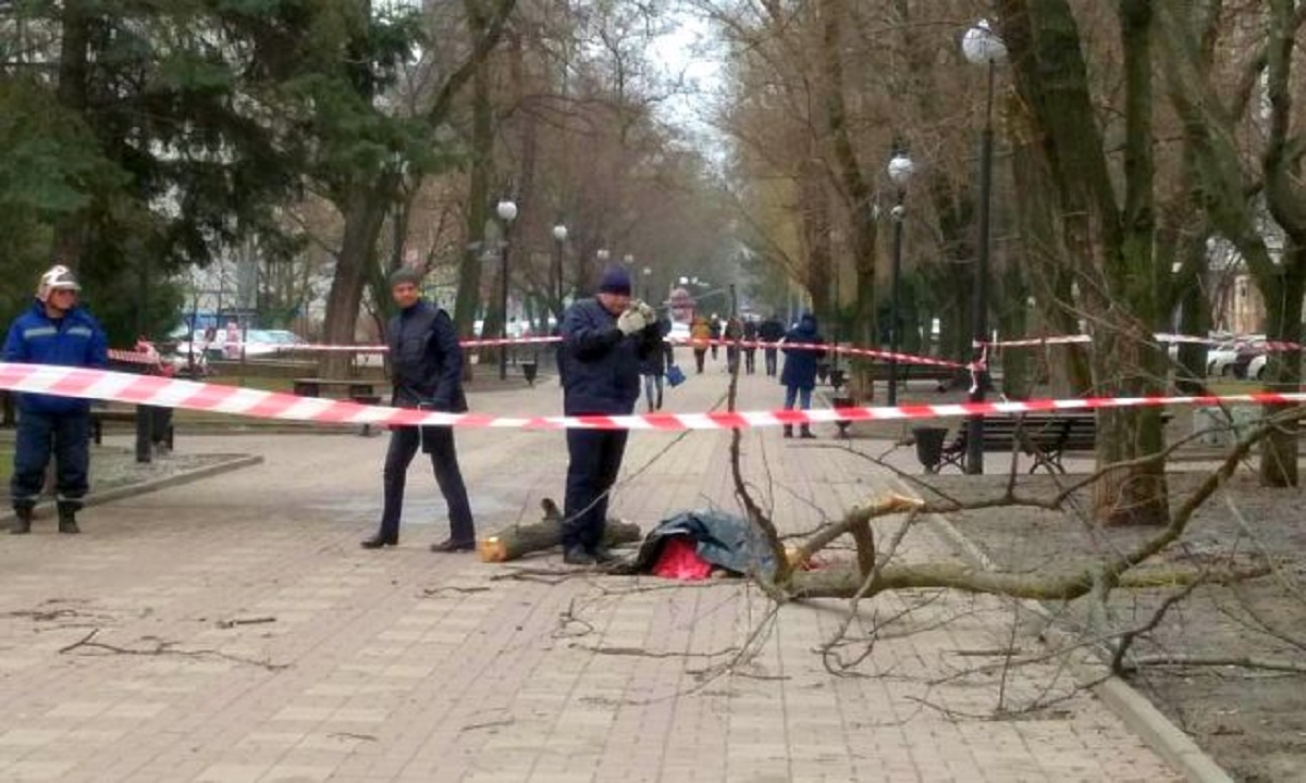 Упавшее дерево убило молодую мать в центре Ростова