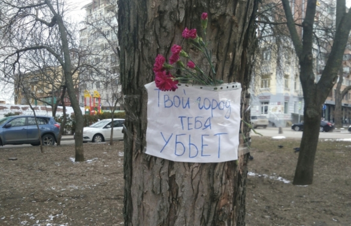Дерево, которое убило девушку в Ростове, не было аварийным
