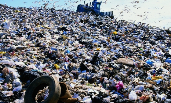 Масштабную переработку мусорного пластика начнут в ЮФО
