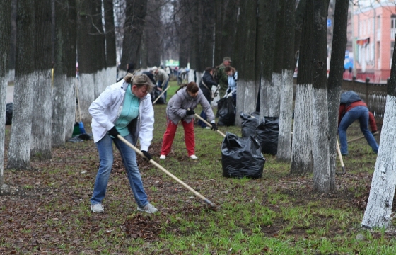 На субботнике в Городском саду Краснодара высадили 45 сосен