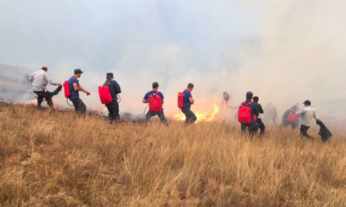 50 гектаров лесного фонда выгорело в Гумбекском районе Дагестана
