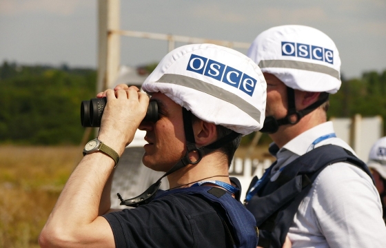 ОБСЕ назвало условия, при которых посетит российский Крым