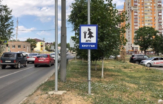 Дорожный знак «ГАИ за кустом» установили в Ростове