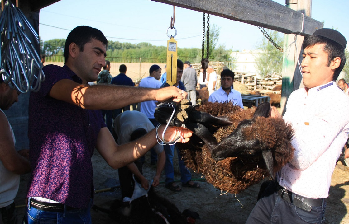 В Махачкале запретили резать животных в честь Курбан-байрама