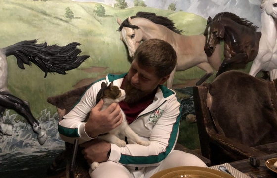 Кадыров рассказал о судьбе своего слепого кота