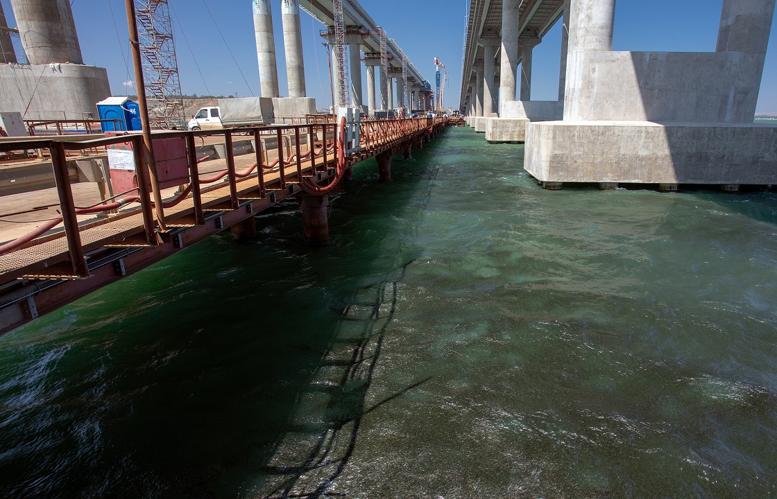 Экологи: Крымский мост помогает хамсе прятаться от бакланов