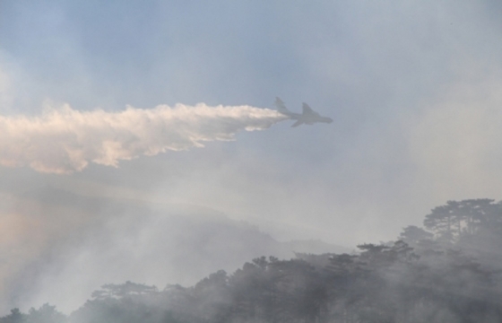 Пять тысяч человек тушат лесной пожар в урочище Уч-Кош под Ялтой