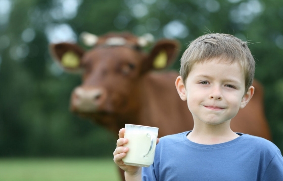 Больных и детей в Ростовской области вместо молока поят пальмовым маслом