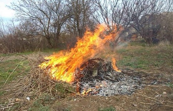 Пенсионерка из Ставрополя сгорела, пытаясь сжечь сухостой в доме