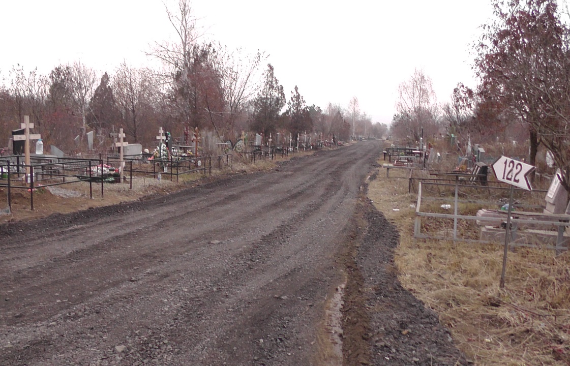Власти Ростова выделяют 700 тыс рублей на борьбу с грызунами на кладбище