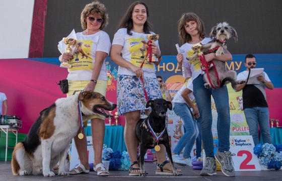 Жители Сочи познакомятся с работой приютов для собак на благотворительной выставке