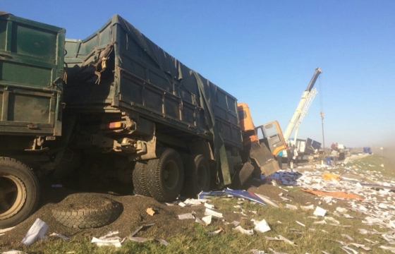 На Кубани столкнулись 4 грузовика. Два водителя погибли. Фото и видео