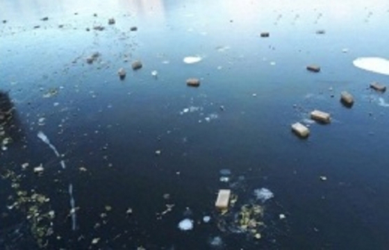 Родители вандалов с Лебединого озера в Астрахани отремонтируют площадку за свой счет