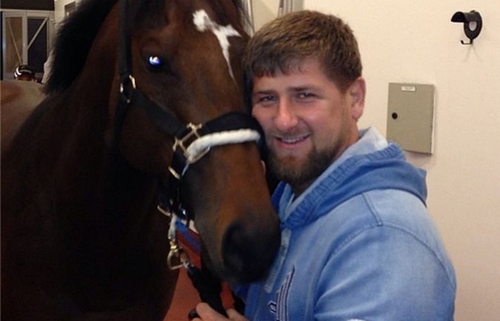 Пресс-секретарь Кадырова ответил на расследование про прибыльных лошадей главы Чечни