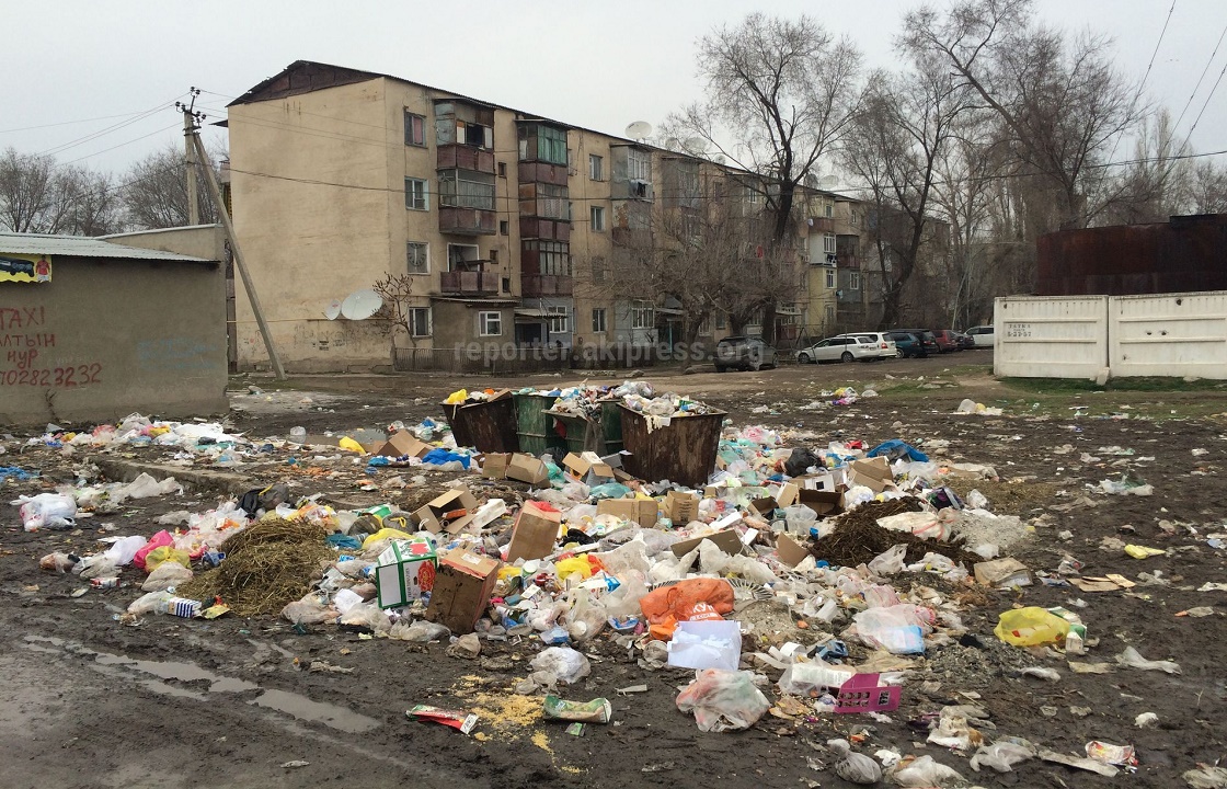 Ростовчане мусорят больше краснодарцев и ставропольчан. Официальные цифры
