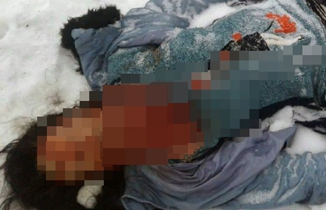 Обглоданное животными тело женщины нашли в Гуково. Фото 18+