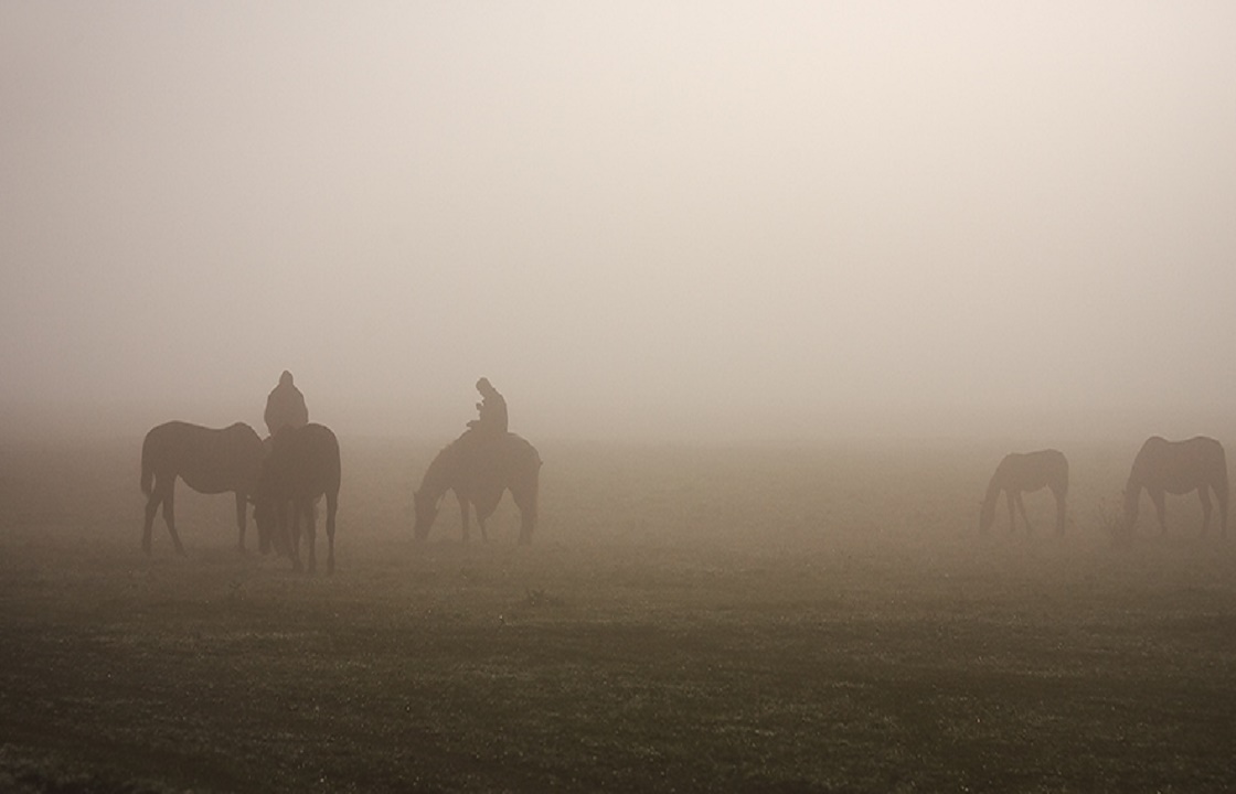 Поисковые группы нашли пастуха, из-за тумана потерявшегося в степях Калмыкии