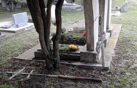 Вандалы вырвали кресты на кладбище в Анапе. Фото