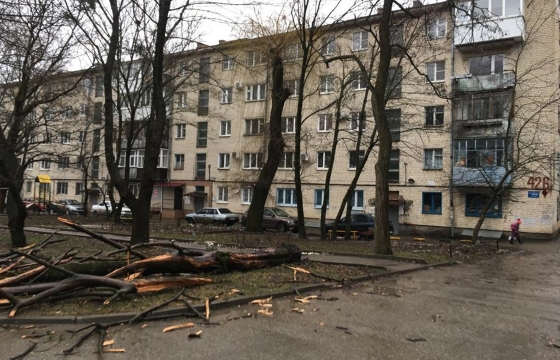 Власти Ставрополя ввели режим ЧС из-за ветра