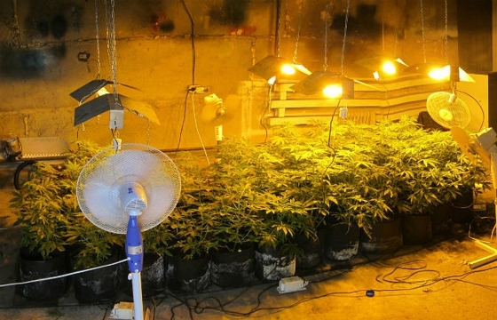 Астраханский стрелок по полицейским выращивал дома марихуану