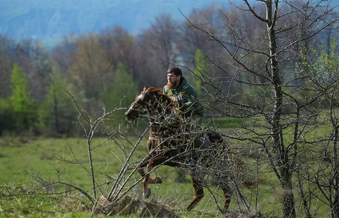 «Мой конь ждет меня». Кадыров примет участие в конном походе по Терскому хребт