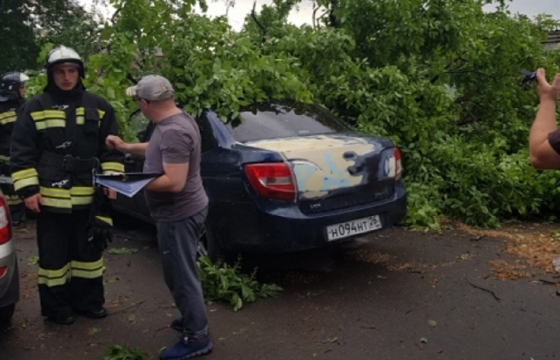 Четыре человека стали жертвами урагана в Северной Осетии