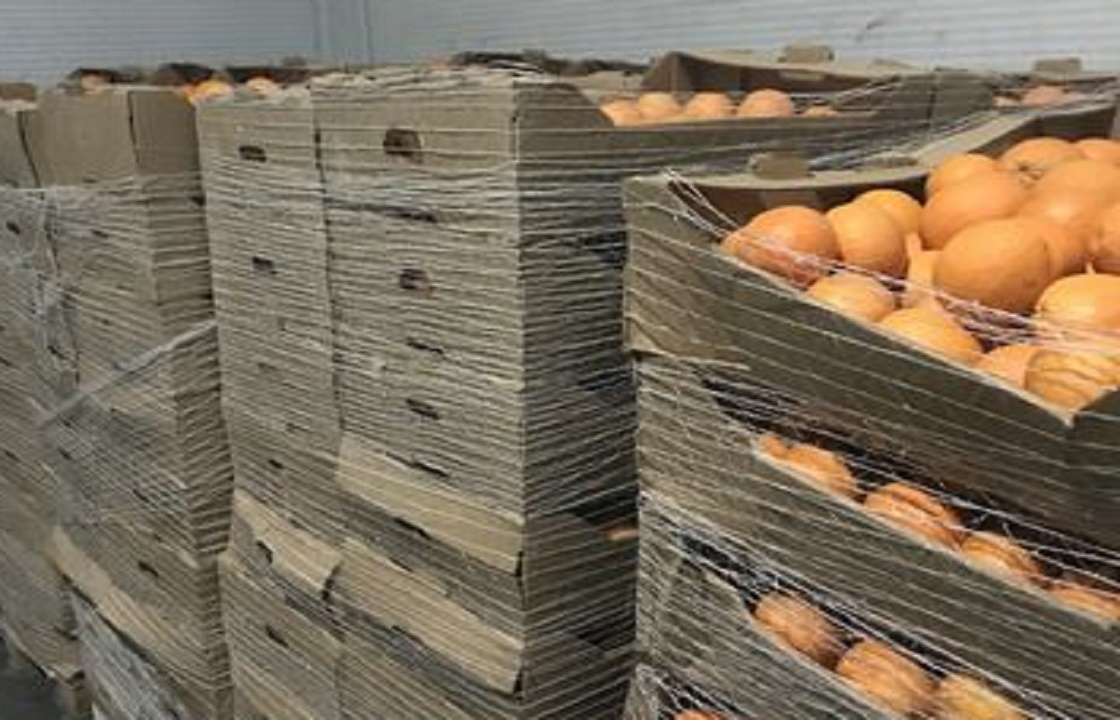 Чтобы не попасть под санкции, апельсинам на рынке Краснодара изменили «гражданство»