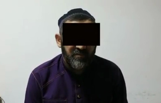 В МВД Ингушетии прокомментировали задержание организатора секс-рабства. Видео