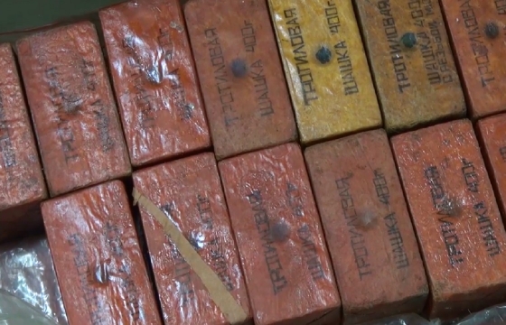36 килограммов тротила и оружие хранил дома житель Кубани. Фото