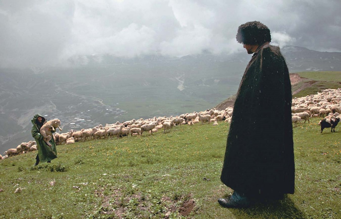 Дагестанских пастухов выдворили из приграничного района Чечни - СМИ