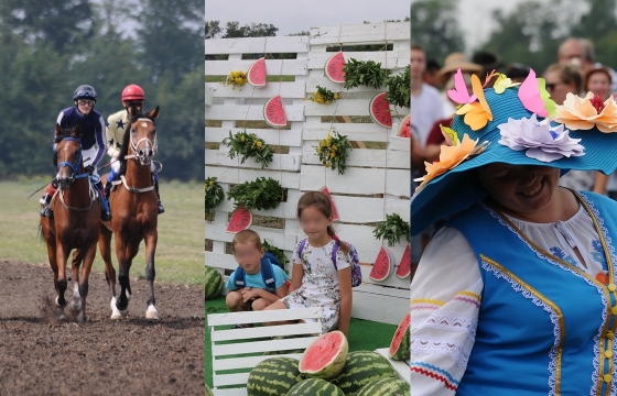 Со скачками, с арбузом и шляпами: как прошел День урожая в Гулькевичском районе. Фото