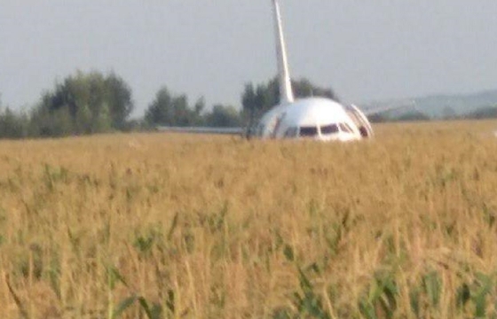 Пассажиры севшего в поле А321 «Москва – Симферополь» аплодируют мастерству пилота. Видео