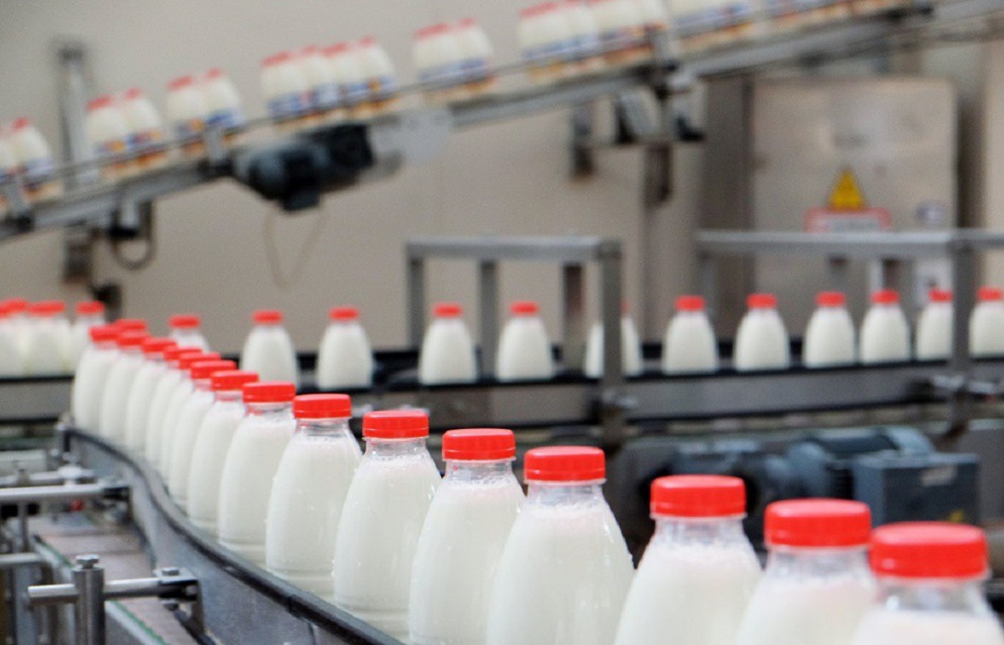 В школы и больницы Крыма поставляют молочку несуществующих производителей