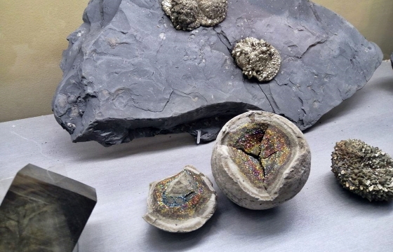 Увидеть минералы и ископаемые, не погружаясь под землю: в Краснодаре открылся музей геологии и недропользования