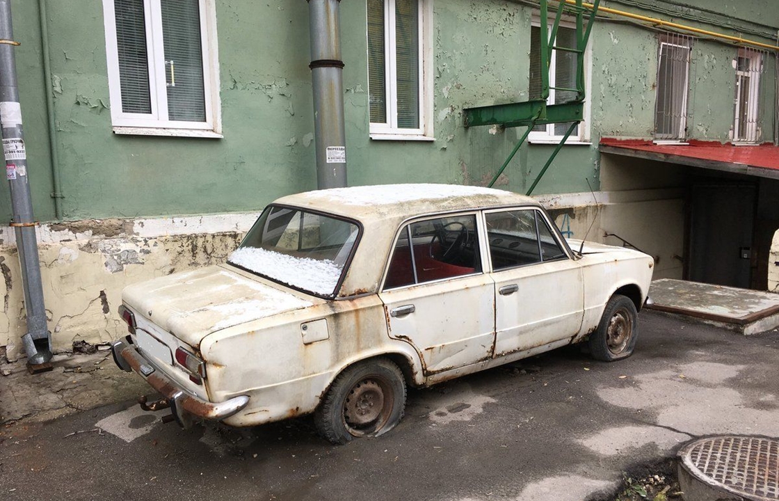 Власти активно займутся очисткой Новороссийска от амброзии и брошенных авто