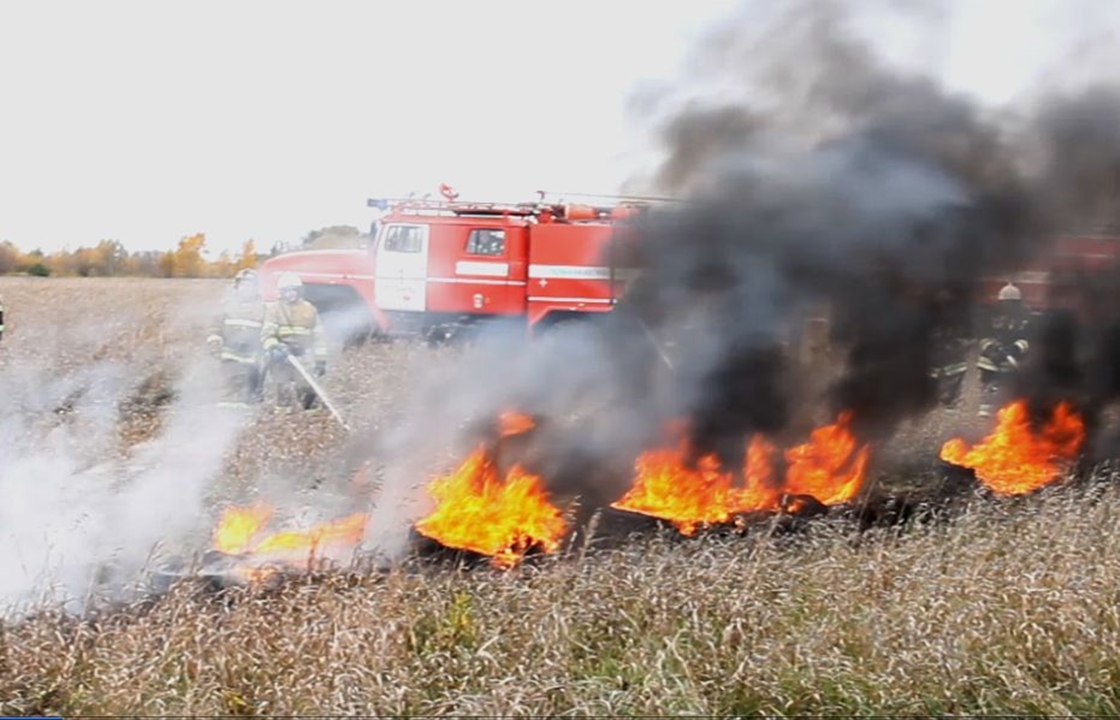Мэр Новороссийска призвал увеличить контроль за территориями, где происходят возгорания