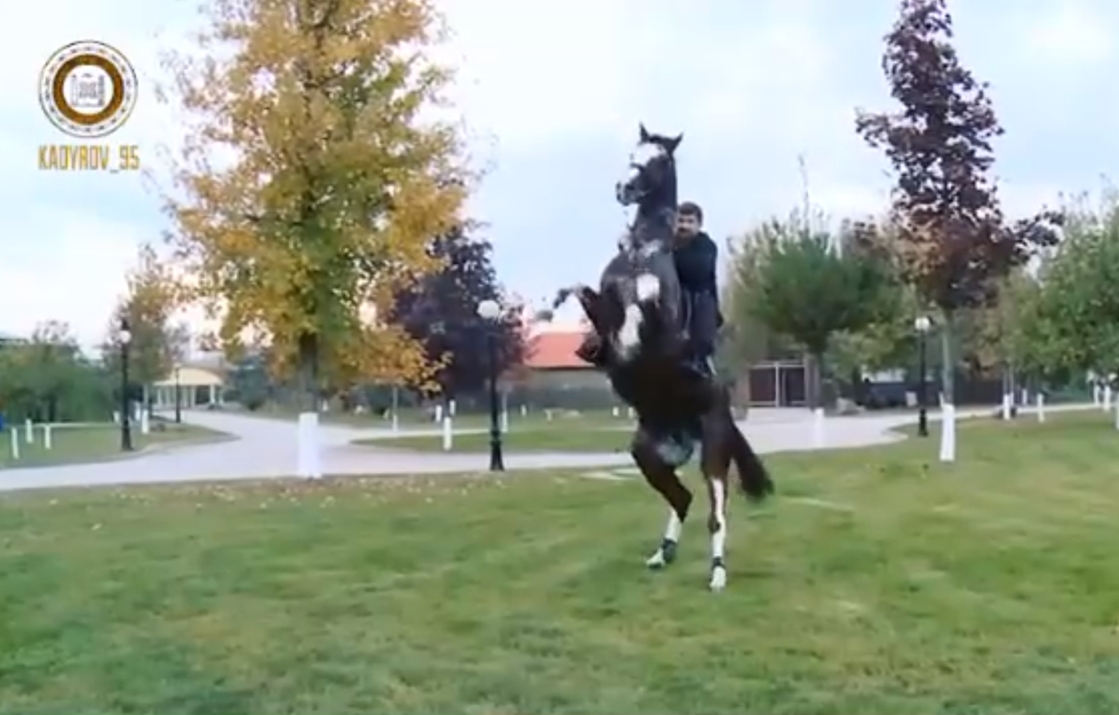 Кадыров показал «подвиг» на коне в своей резиденции. Видео