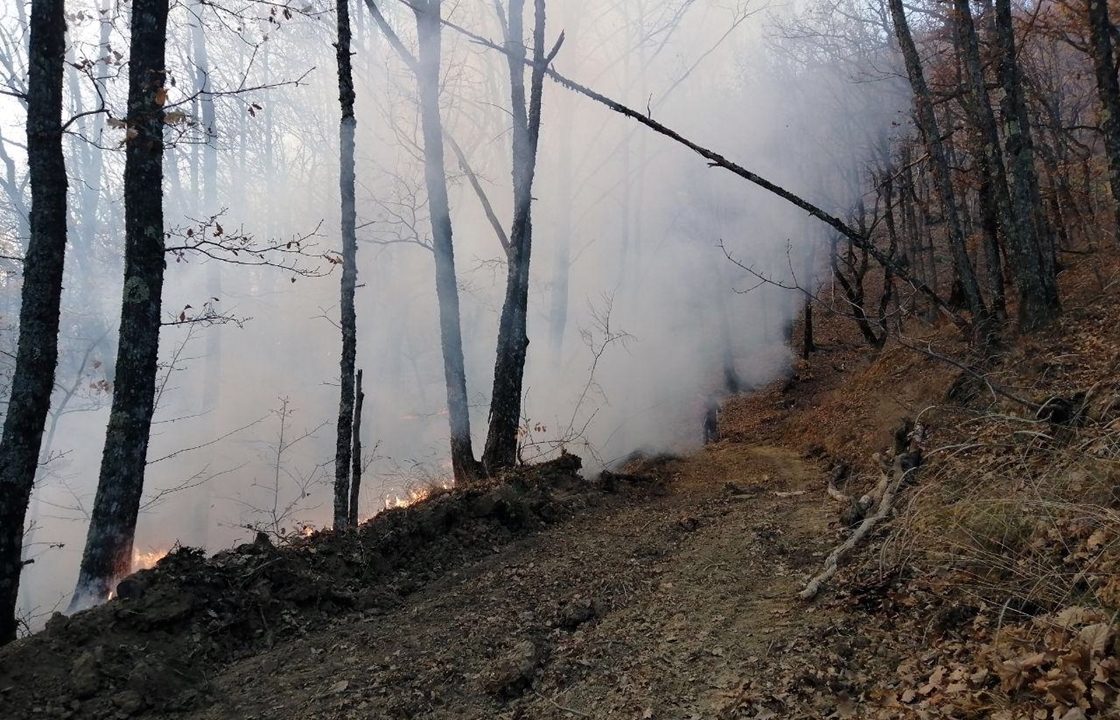 Огонь охватил леса Крыма. Введен режим ЧС
